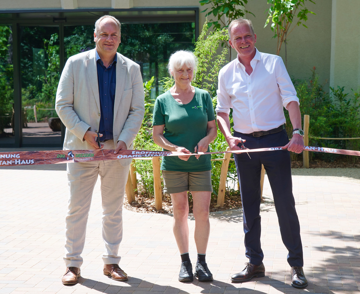 OB Dirk Hilbert (FDP), Tierwärterin Sylvia Pohle und der gelernte Bankkaufmann und heutige Dresdner Zoodirektor Karl-Heinz Ukena bei der Eröffnung des Orang-Utan-Hauses am 18. Juni. Foto: Colin Goldner